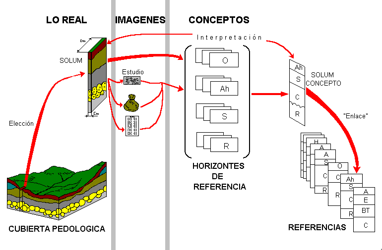 Figura 1